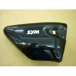 R. SIDE COVER B (SYM STRIPE)