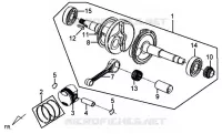 CARTER MOTEUR pour SYM MIO 50 (45 KMH) (HU05WAH-6) (L5-L6) de 2015