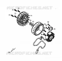 ENSEMBLE GÉNÉRATEUR AC pour SYM SYMPHONY 125 (AY12W1-T) (L1) de 2011