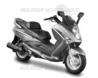 GRAY GY1 (GY 517S) pour SYM GTS 250 EVO (LM25W5-6) (K9-L0) de 2009